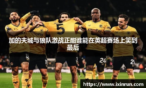 加的夫城与狼队激战正酣谁能在英超赛场上笑到最后
